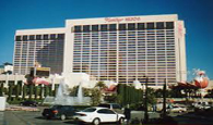Flamingo Las Vegas Flamingo Las Vegas