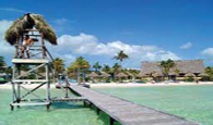 Melia Cayo Guillermo Melia Cayo Guillermo